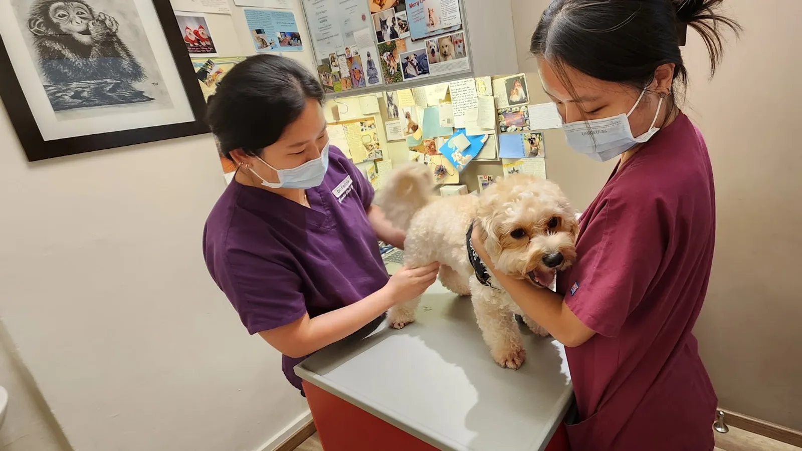 Gentle Oak Veterinary Clinic clinic exterior