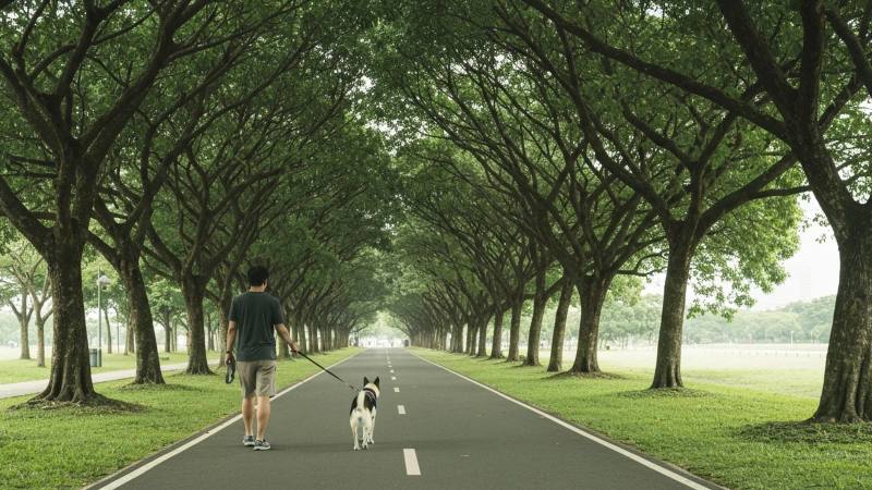 Choosing dog boarding in Singapore: the checks that matter