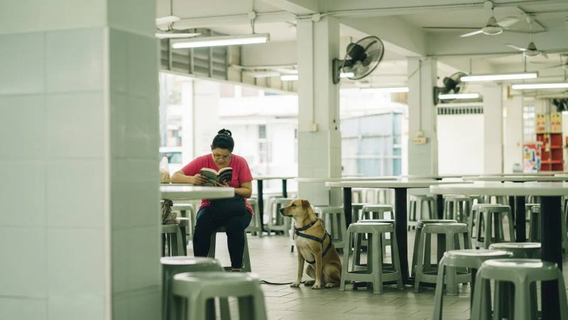 Grooming needs by coat type in Singapore's climate