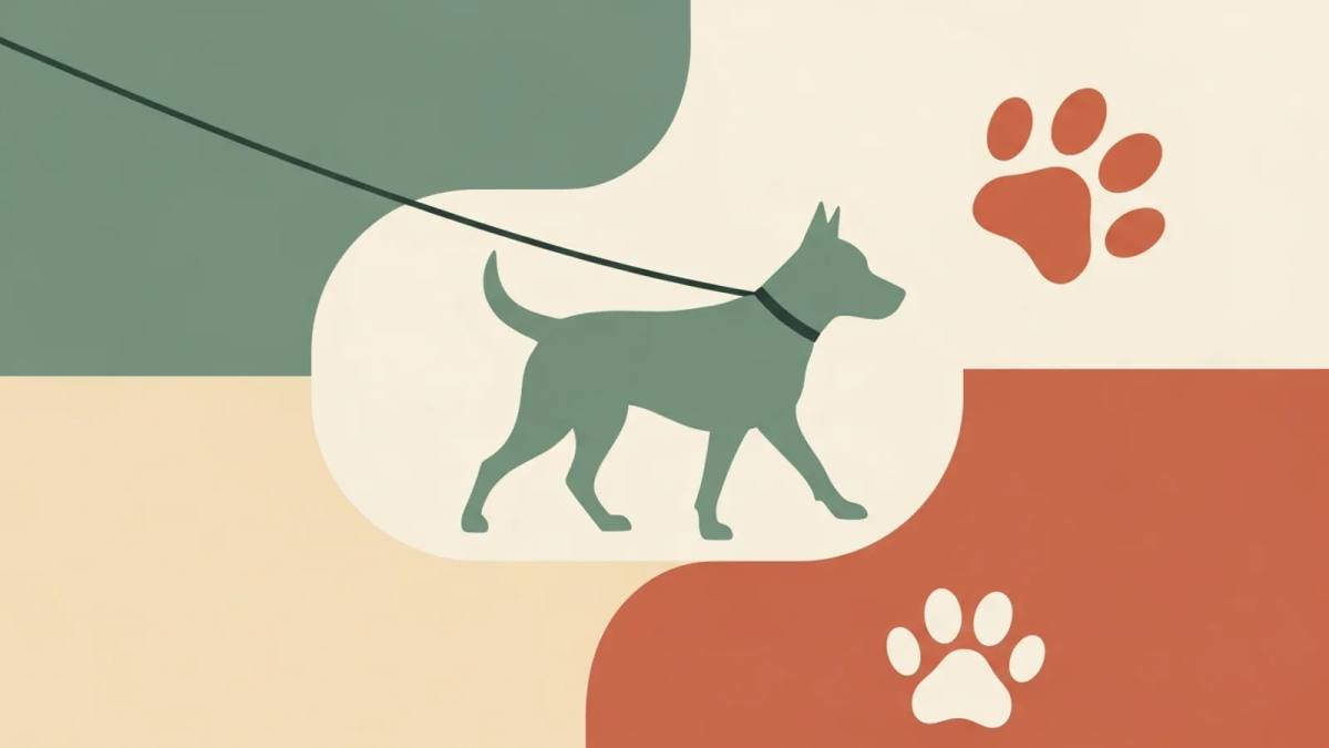 Dog training illustration