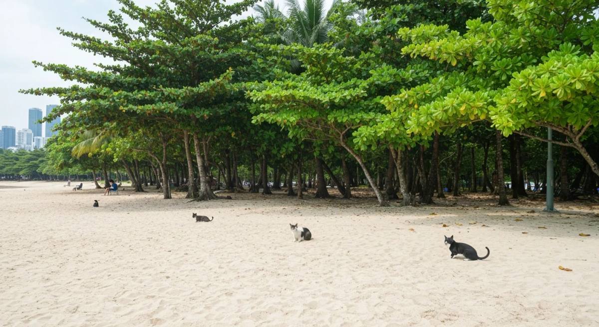 Bedok Jetty Beach (East Coast Park Area F), Beach in Bedok / East Coast