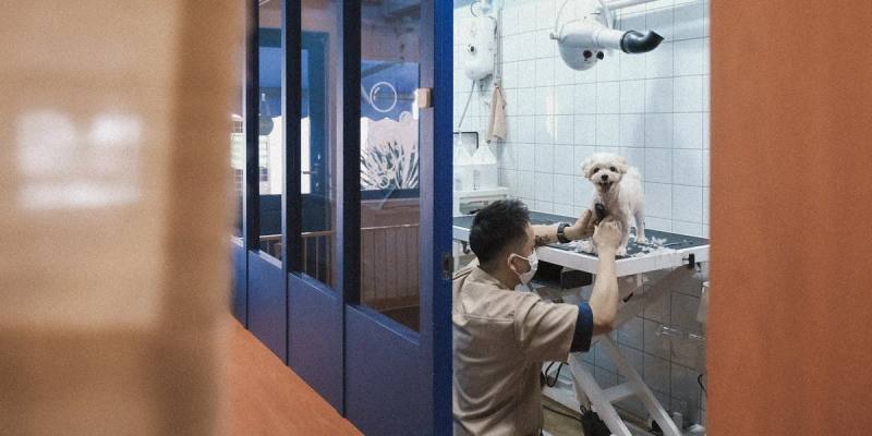 Bubbly dog-grooming studio