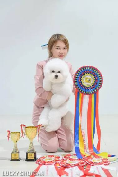 Doggylicious, Groomer in Ang Mo Kio