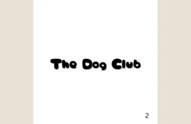 East Coast Dog Club, Daycare in Frankel Ave