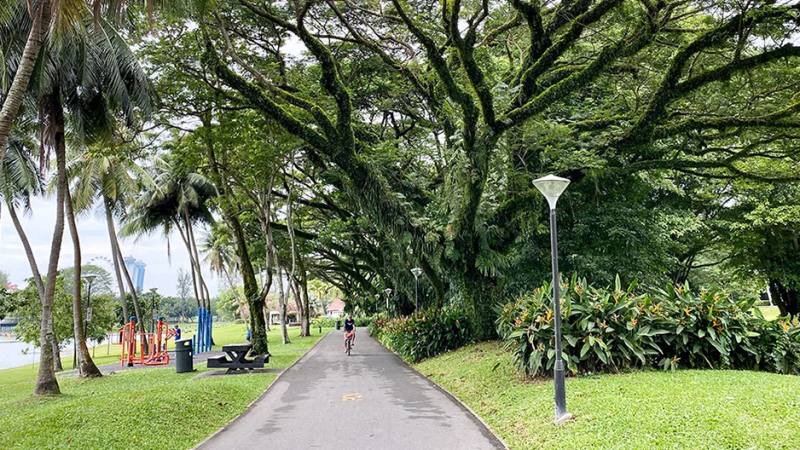 A path at Kallang Riverside Park