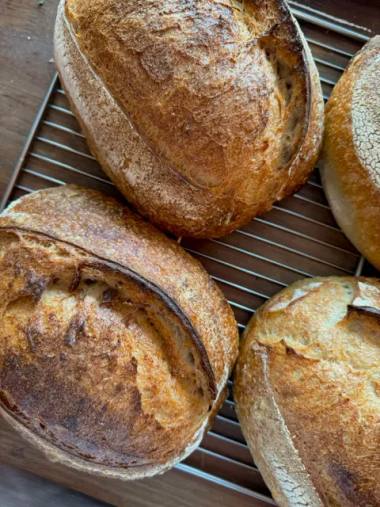 MICRO | bakery kitchen, Cafe in Serene Centre