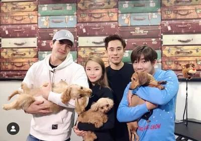 Pooch’s Image team with dogs