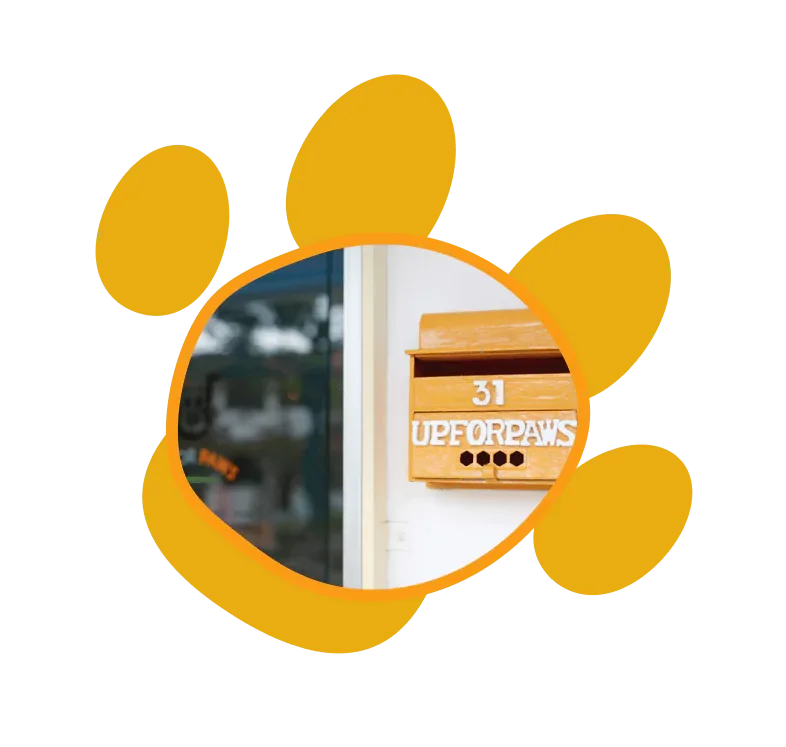 Up For Paws entrance graphic
