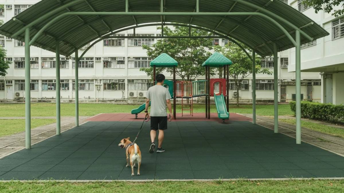 A dog walking with their owner in an HDB playground area